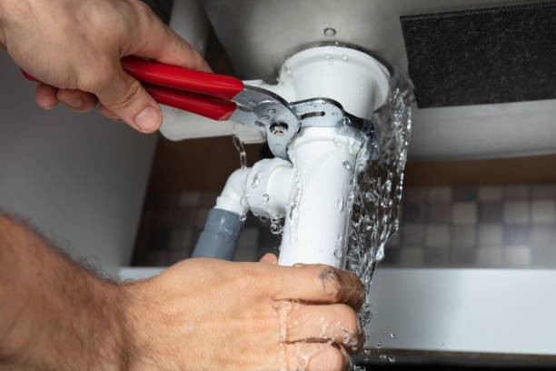 Best Water damage cleanup near me  in Woodburn, VA
