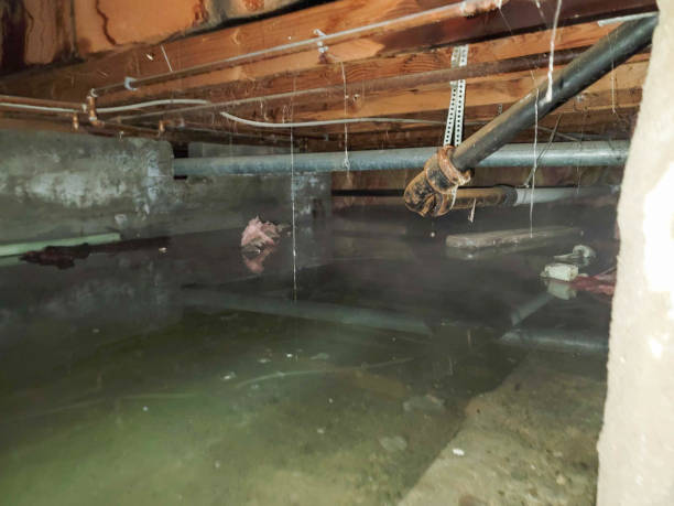 Local water damage restoration in Woodburn, VA